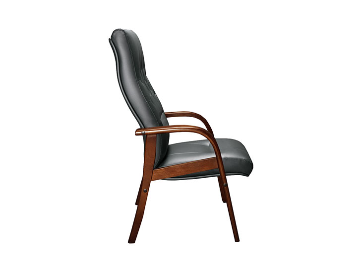 Чиф ДPlus (Chief DPlus) CHF37150001_2.jpg